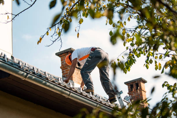 Best Chimney Flashing Repair  in Mauston, WI