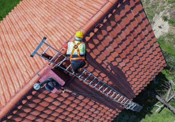 Best Roof Moss and Algae Removal  in Mauston, WI